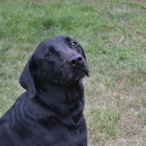 Meet your Posher, Sheila